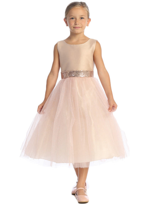 Girls Blush V Back Trim Shantung Sparkle Tulle Flower Girl Dress 2T-10 front SophiasStyle.com